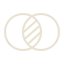 icon6